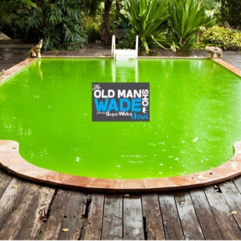 The Old Man Wade Show 269: Life is Ghetto and the dating pool is full of pee