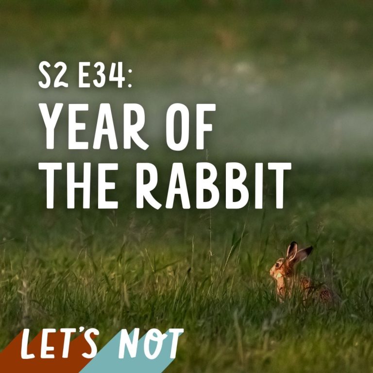 Let’s Not 34: Episode 34: Year Of The Rabbit