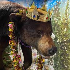 Throwdown Thursday TDT #311 – Bear-ly Lethal!